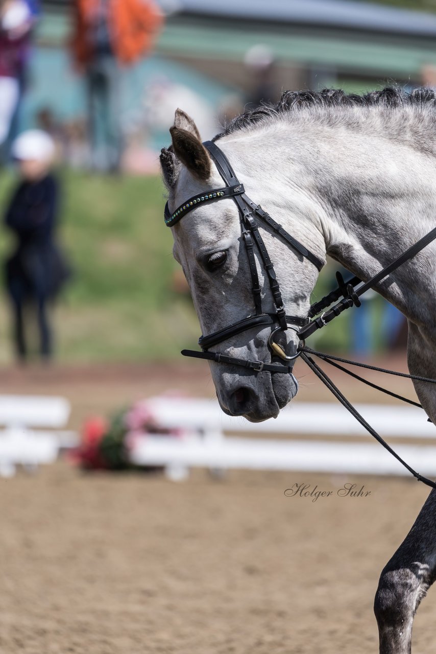 Bild 1 - Pony Akademie Turnier